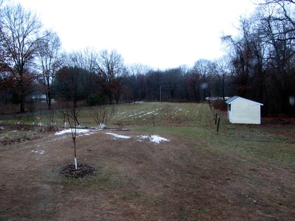 Front pasture snow gone crop Dec 2024.jpg