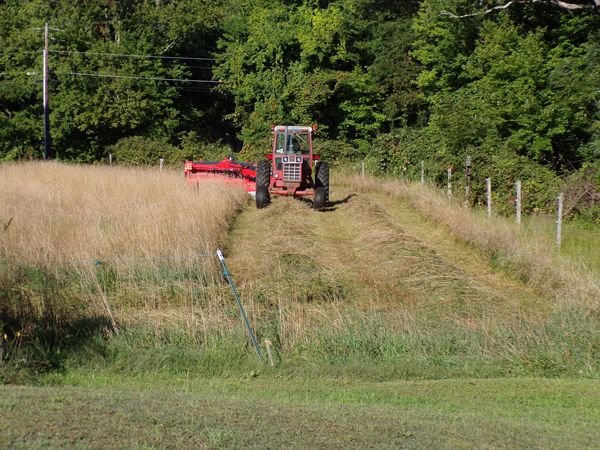 Front pasture cut crop Sept. 2022.jpg