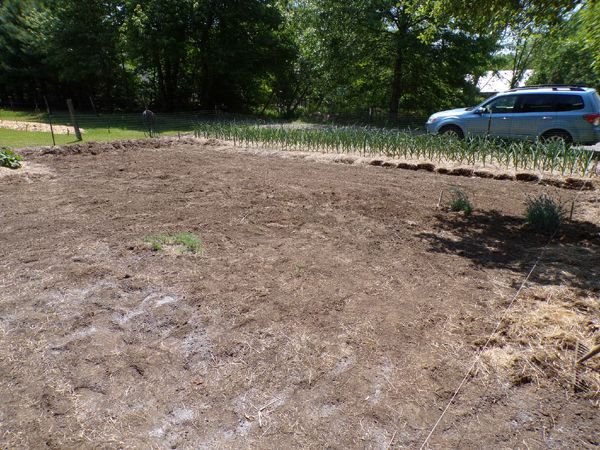 Big garden - raking done crop May 2023.jpg