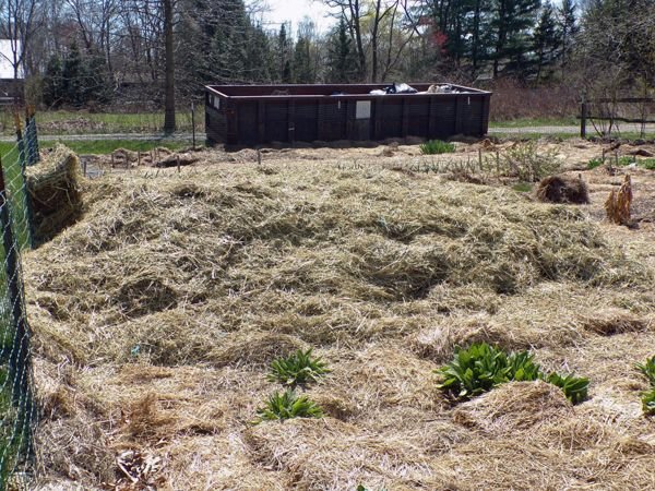 Mulch pile crop April 2021.jpg