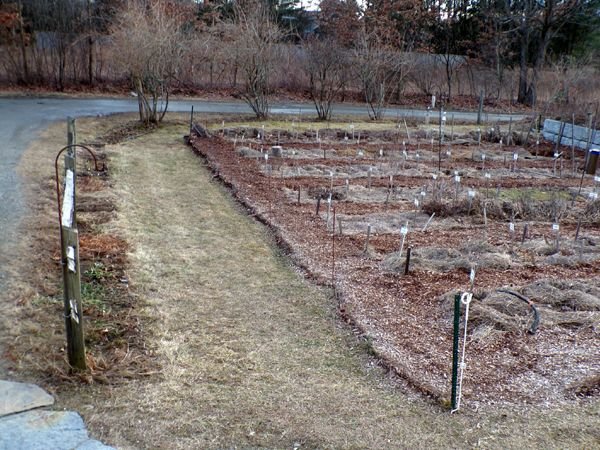 Fence gardens cleaned up crop Feb. 2023.jpg