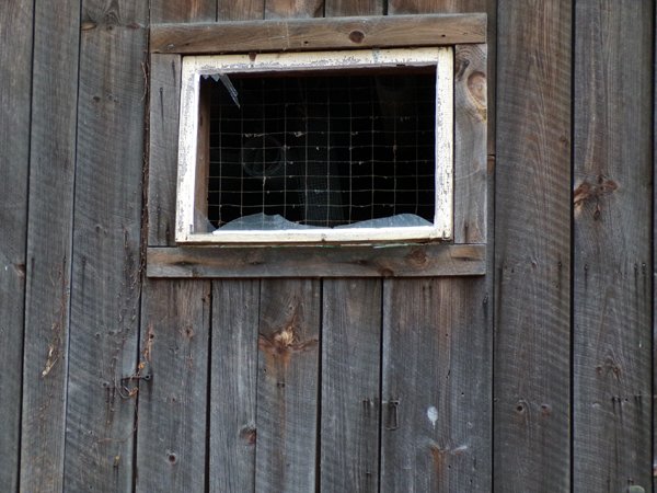 Behind barn - smashed window crop Feb. 2023.jpg