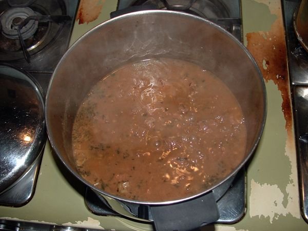 Beef stew simmering crop Sept. 2022.jpg