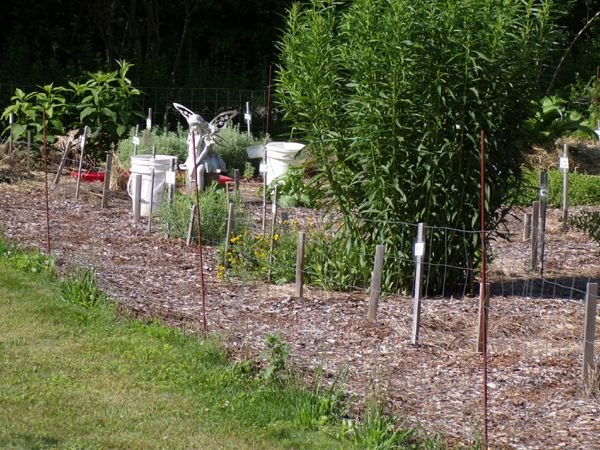 New Herb - working on Row 1 crop July 2023.jpg