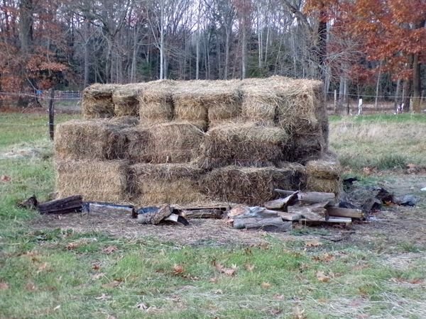 Remains of mulch hay pile crop Nov. 2021.jpg