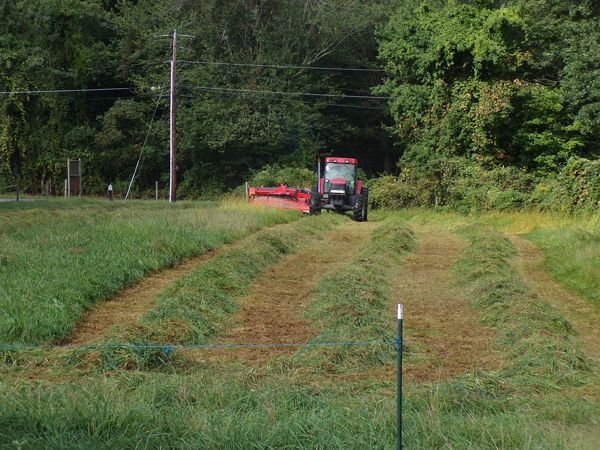 Hay - cutting front pasture2 crop Sept. 2021.jpg