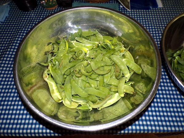 Sugar pods - another harvest crop July 2024.jpg