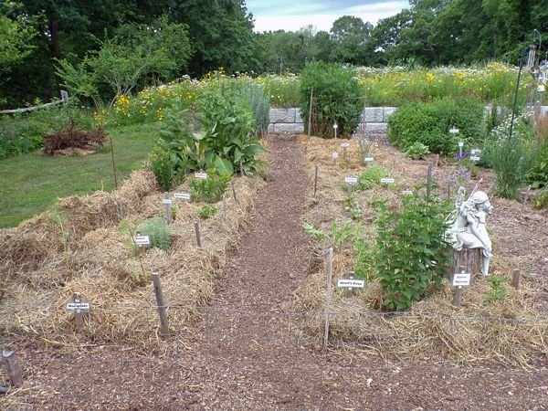 New Herb - Rows 1 and 2 done crop June 2021.jpg