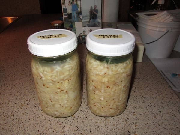 Sauerkraut decanted crop August 2024.jpg