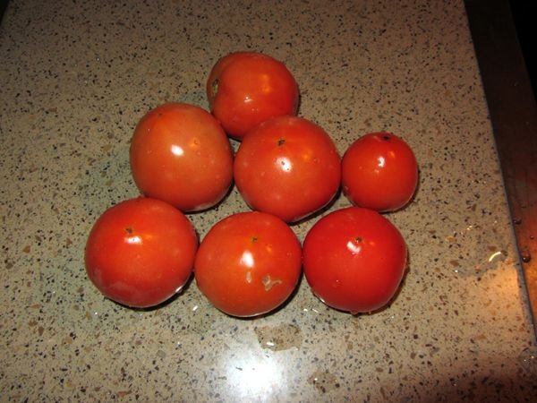 Tomato harvest crop Sept 2024.jpg