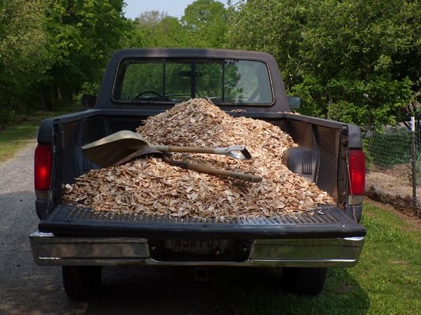 Wood chips - 1st load crop May 2023.jpg