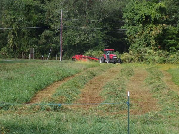 Hay - cutting front pasture1 crop Sept. 2021.jpg