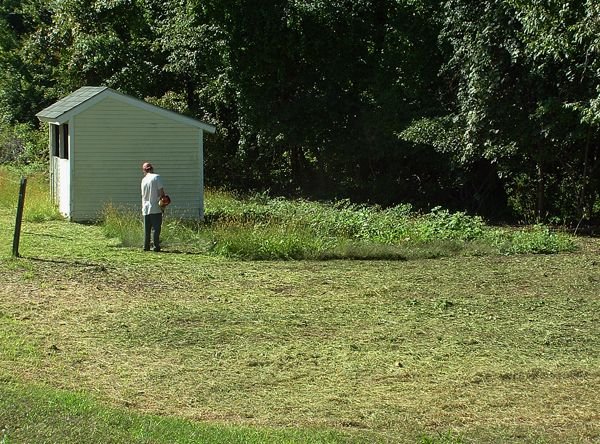 Lee weedwacking wood area crop Sept. 2022.jpg