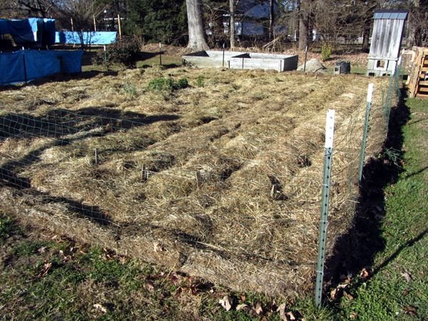 Small garden finished crop Nov 2024.jpg