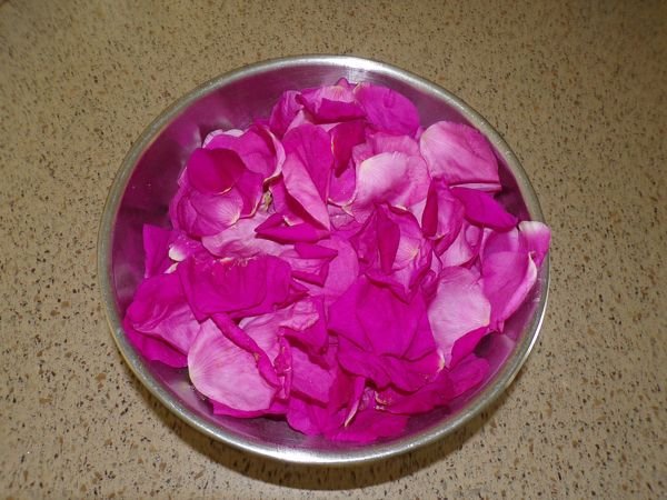 Rugosa petals for dehydrator crop May 2021.jpg