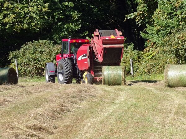 Front pasture baled crop Sept. 2022.jpg