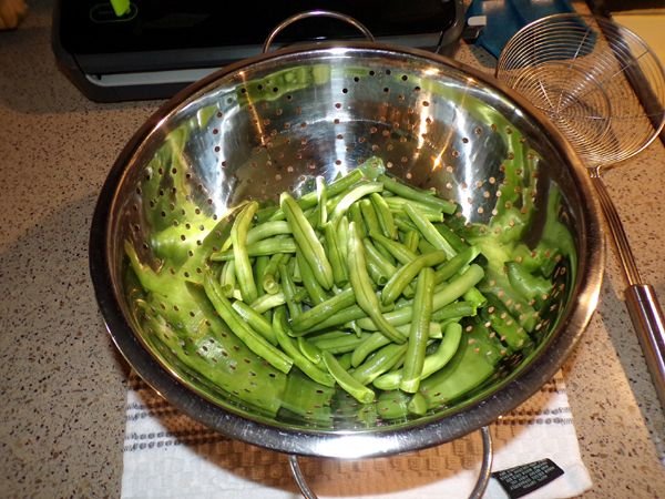 Green beans - all there was crop August 2024.jpg