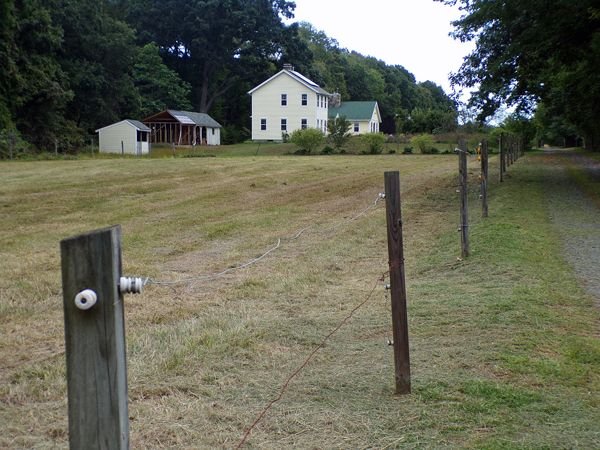 Front pasture fences weedwacked crop Sept. 2022.jpg