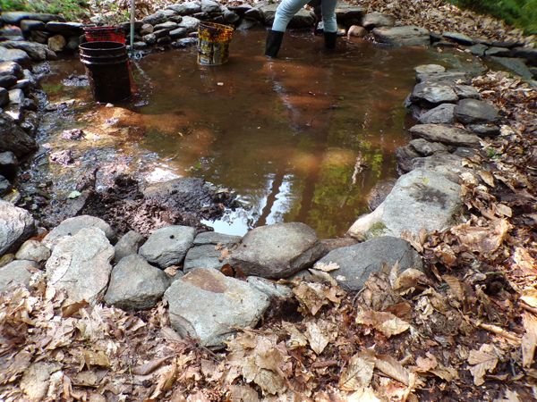 Rachel's pools - Rachel moving mud crop Sept. 2022.jpg