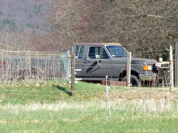 Truck is back crop April 2022.jpg