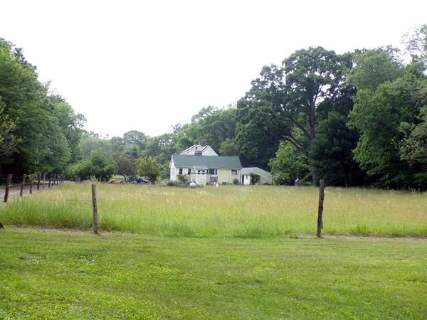 Middle pasture and house crop June 2023.jpg