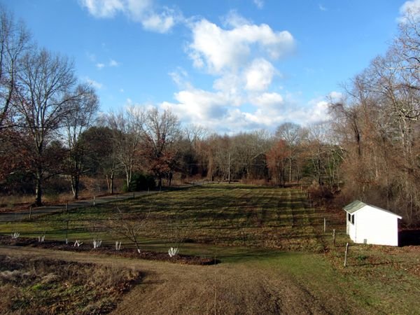 Front pasture crop Dec 2024.jpg