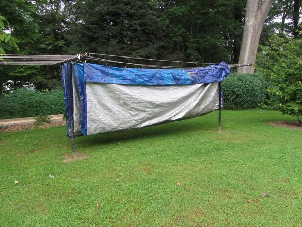 Tarp hung up crop August 2024.jpg