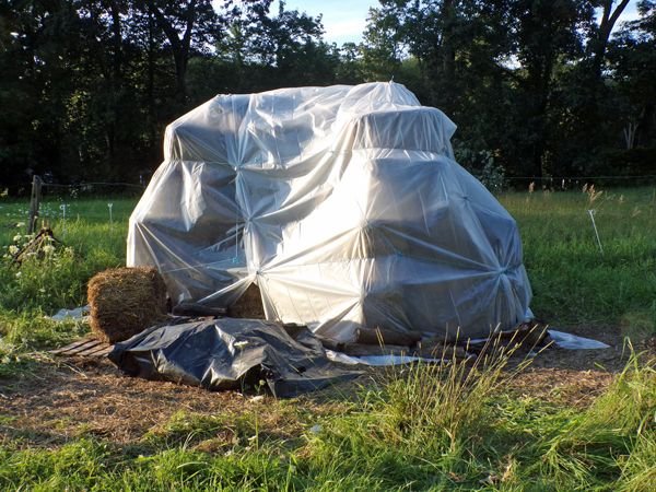 Finished haystack crop July 2021.jpg