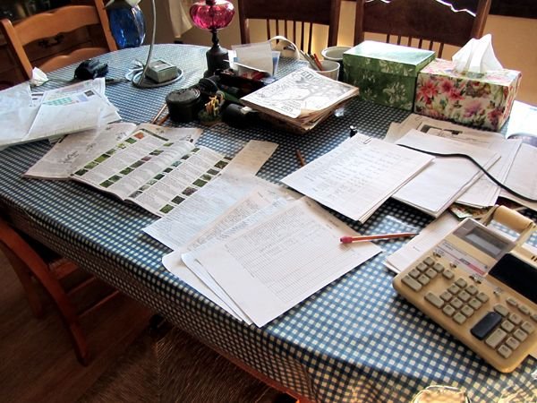 Starting seed orders crop Jan 2025.jpg