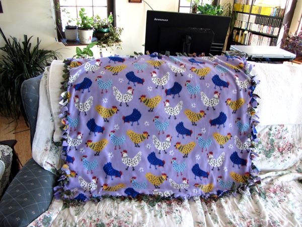 Megan and Hazel's blanket crop March 2025.jpg