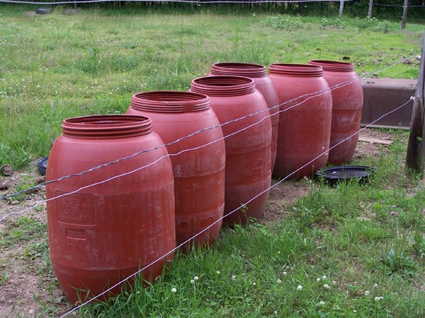 rainbarrels crop june2009.jpg