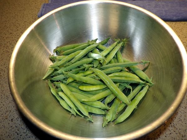 Green peas - 1st harvest crop June 2024.jpg