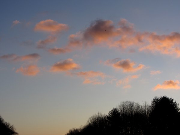 Clouds at sunrise crop Jan 2025.jpg