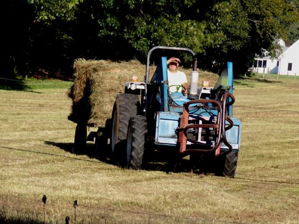 Hay - 8 bales from back 40 crop Sept. 2023.jpg