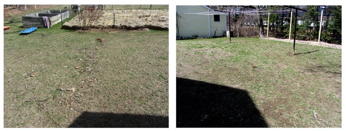Raking the backyard collage crop April 2025.jpg