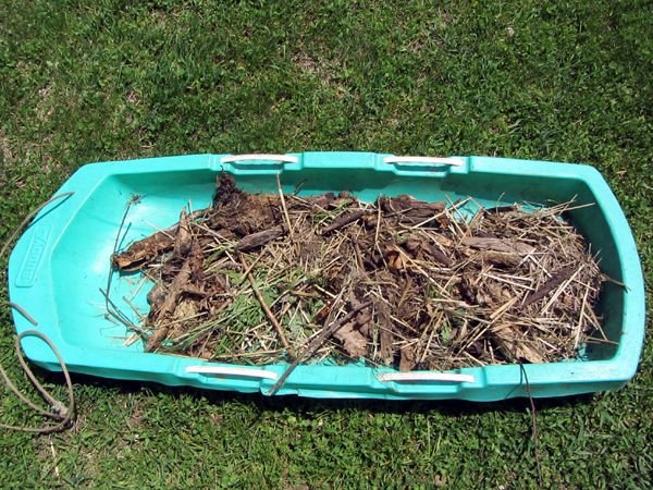 Big garden - cordwood from tomato area crop May 2025.jpg
