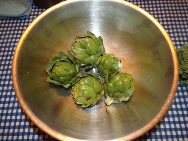 Artichoke harvest crop August 2024.jpg