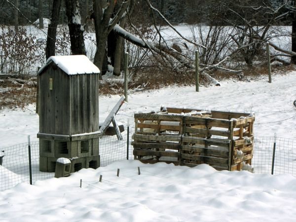 Smokehouse, compost in snow crop Feb 2025.jpg