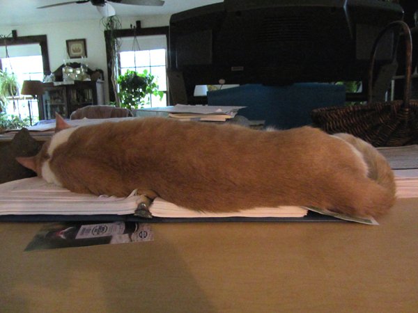 Post writing supervisor crop March 2025.jpg