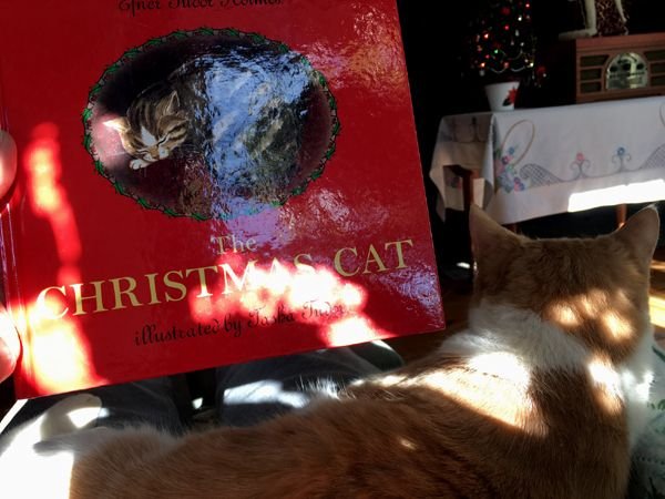 Larry and Christmas Cat book crop Jan 2025.jpg