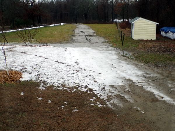 Front pasture - snow melt crop Jan. 2024.jpg