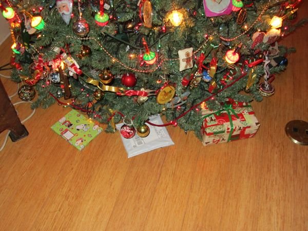 Presents under tree crop Dec 2024.jpg