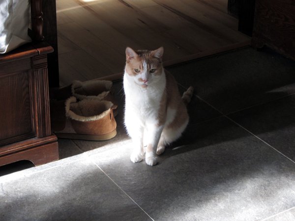 Stove cleaning supervisor crop Jan 2025.jpg