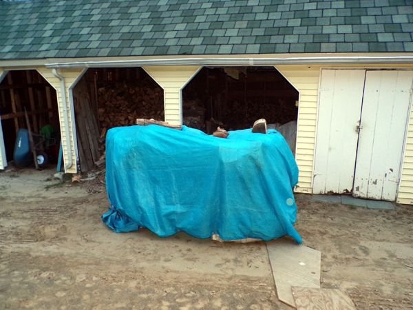 Tarp on wood crop April 2024.jpg