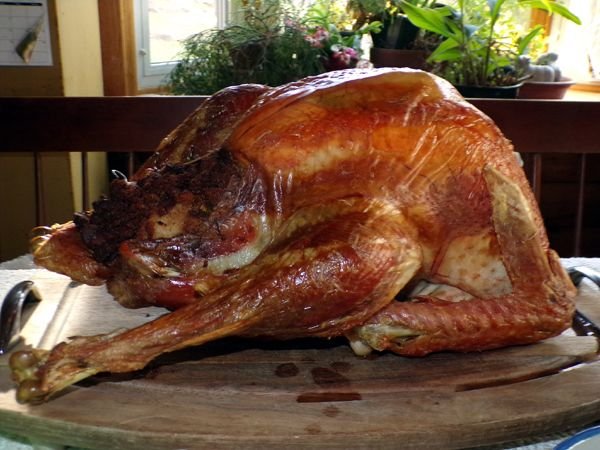 Thanksgiving - the turkey crop Nov. 2022.jpg