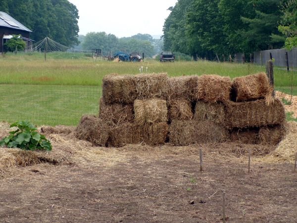 Second load of mulch hay crop June 2023.jpg