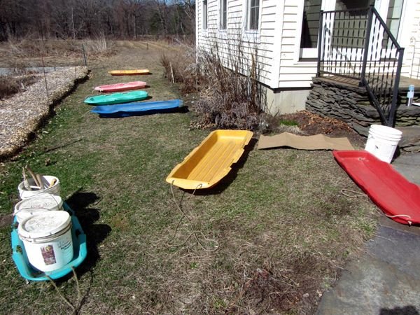 Ready to weed crop March 2025.jpg