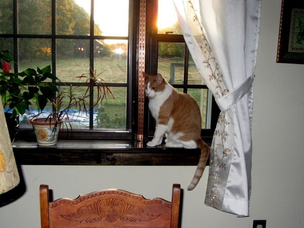 Larry helping pull up shades crop Oct 2024.jpg