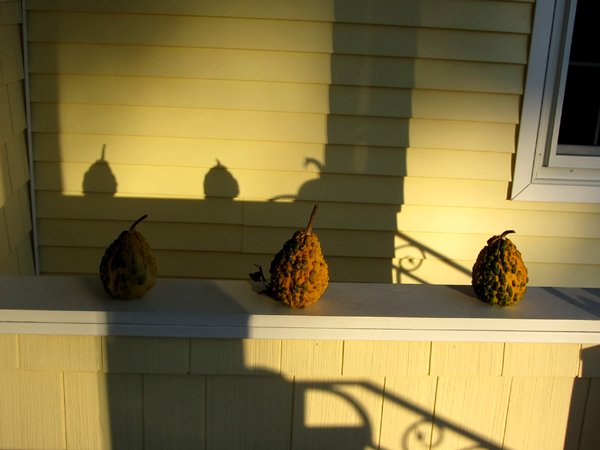 Shadows on front porch crop Oct 2024.jpg