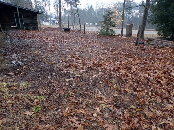 Behind barn - looking west crop Feb. 2023.jpg